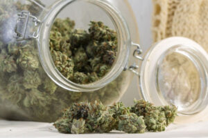 How To Properly Store and Preserve Cannabis Strains weed review